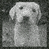 зайка